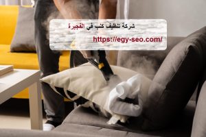 شركة تنظيف كنب في الفجيرة