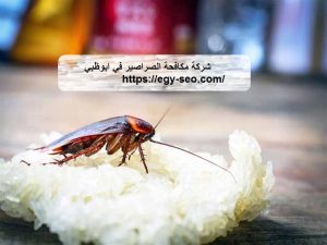 شركة مكافحة الصراصير في ابوظبي